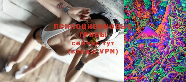 соль ск Вязники