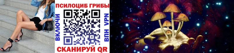 Галлюциногенные грибы Psilocybine cubensis  Балаково 