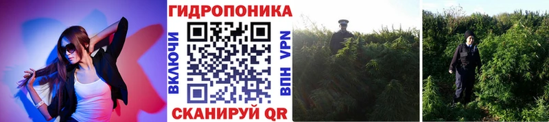 Бошки Шишки OG Kush Балаково